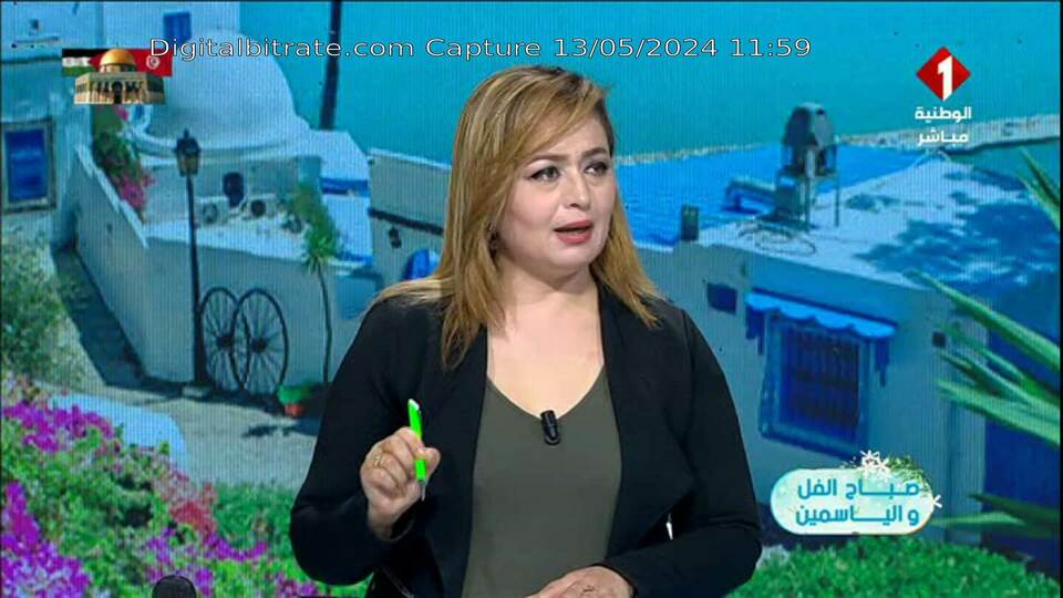 Capture Image Télévision Tunisienne FRF