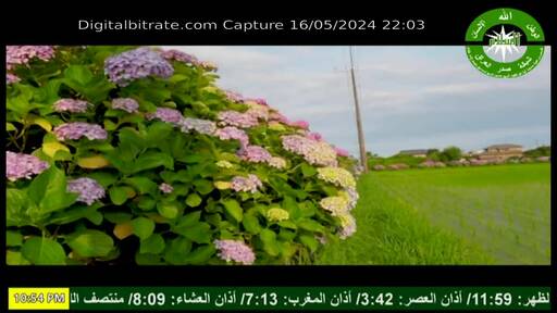 Capture Image AL SALAM TV 12603 V