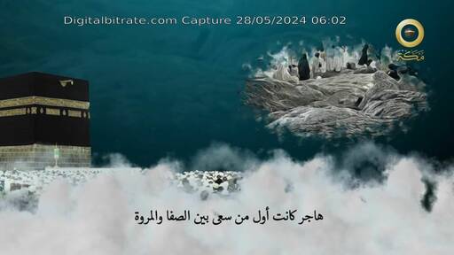 Capture Image Makkah TV 12398 V