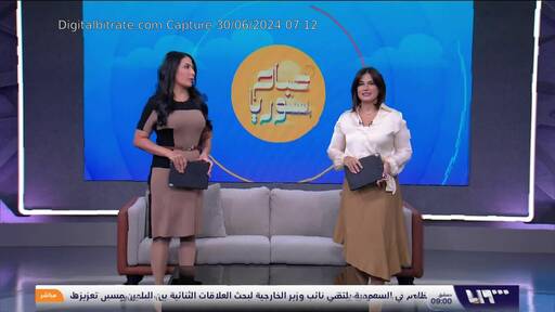 Capture Image SYRIA TV 11311 V