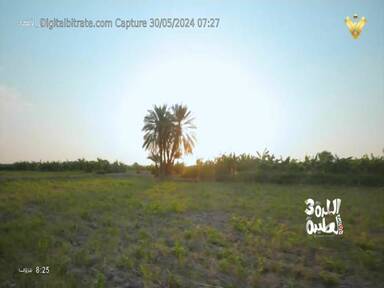 Capture Image Al Manar 12631 V
