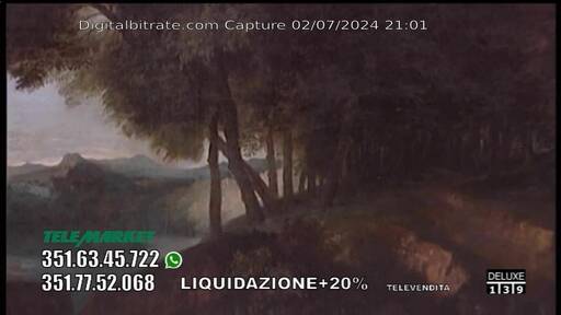Capture Image DELUXE 139 CH24